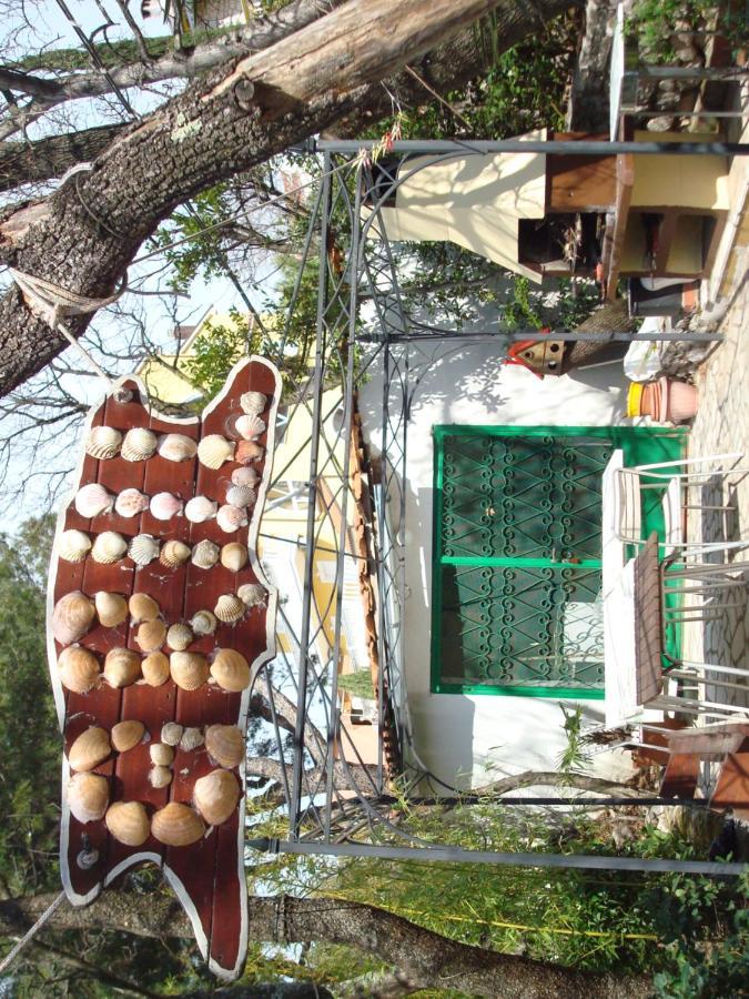 Apartma Zafaranic
